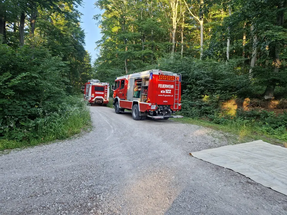 Übung Waldbrandbekämpfung – Foto 5 von 9