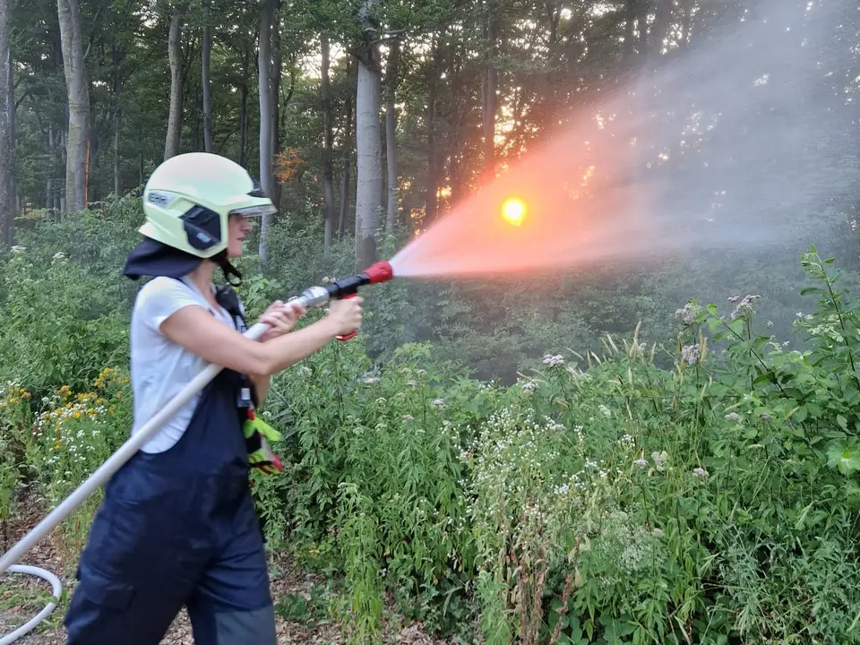 Übung Waldbrandbekämpfung – Foto 9 von 9