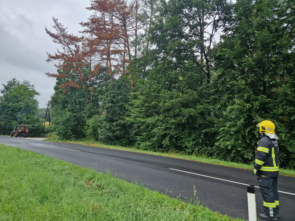 Bäume drohten umzustürzen – Foto 1 von 3