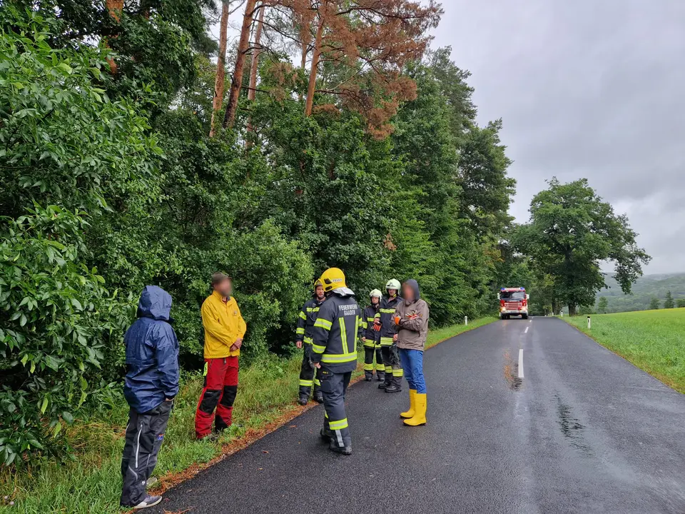 Bäume drohten umzustürzen – Foto 2 von 3