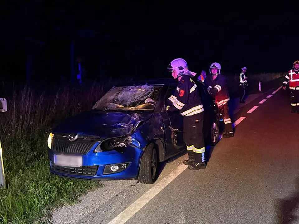 Wildunfall auf der B11 – Foto 1 von 4
