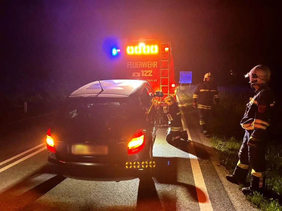 Wildunfall auf der B11 – Foto 3 von 4