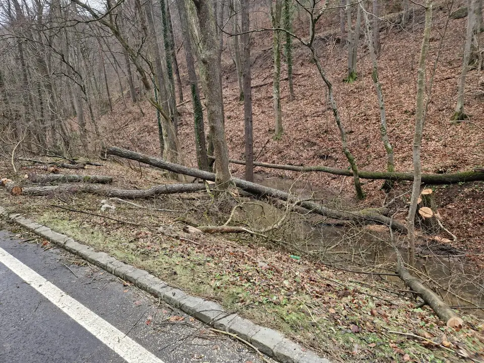 Weihnachtlicher Sturmschaden Teil 2 – Foto 4 von 4