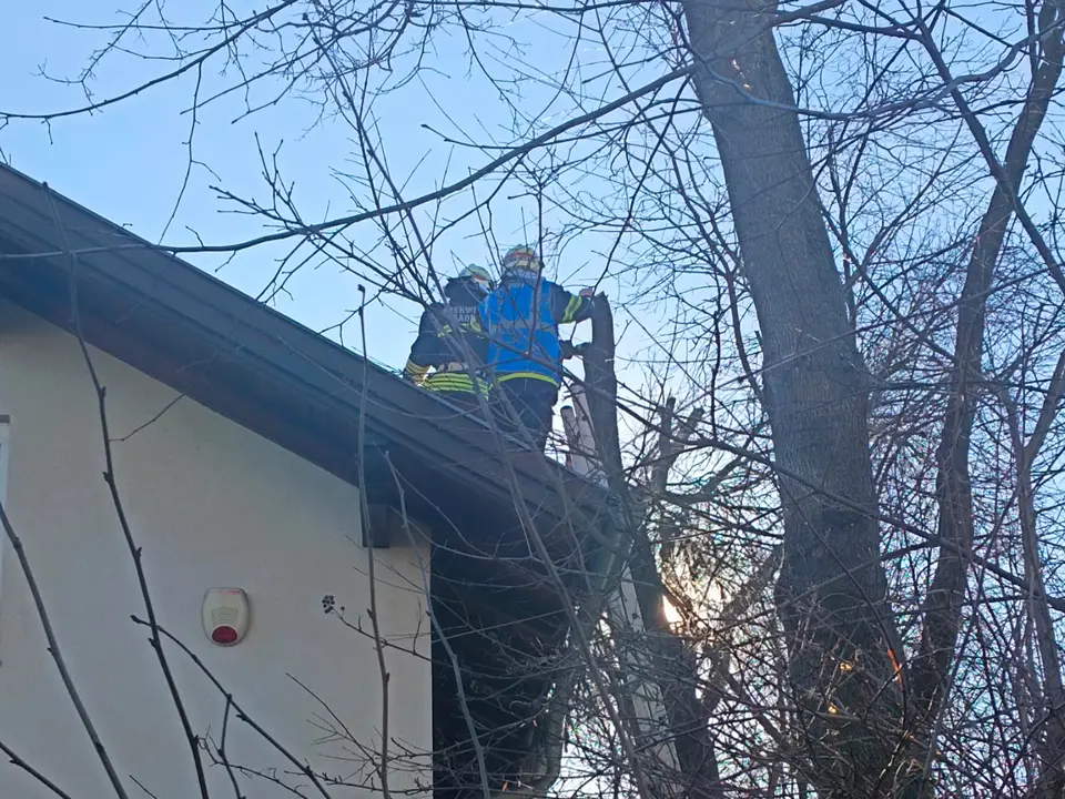 Baum drohte auf Haus zu stürzen – Foto 1 von 2