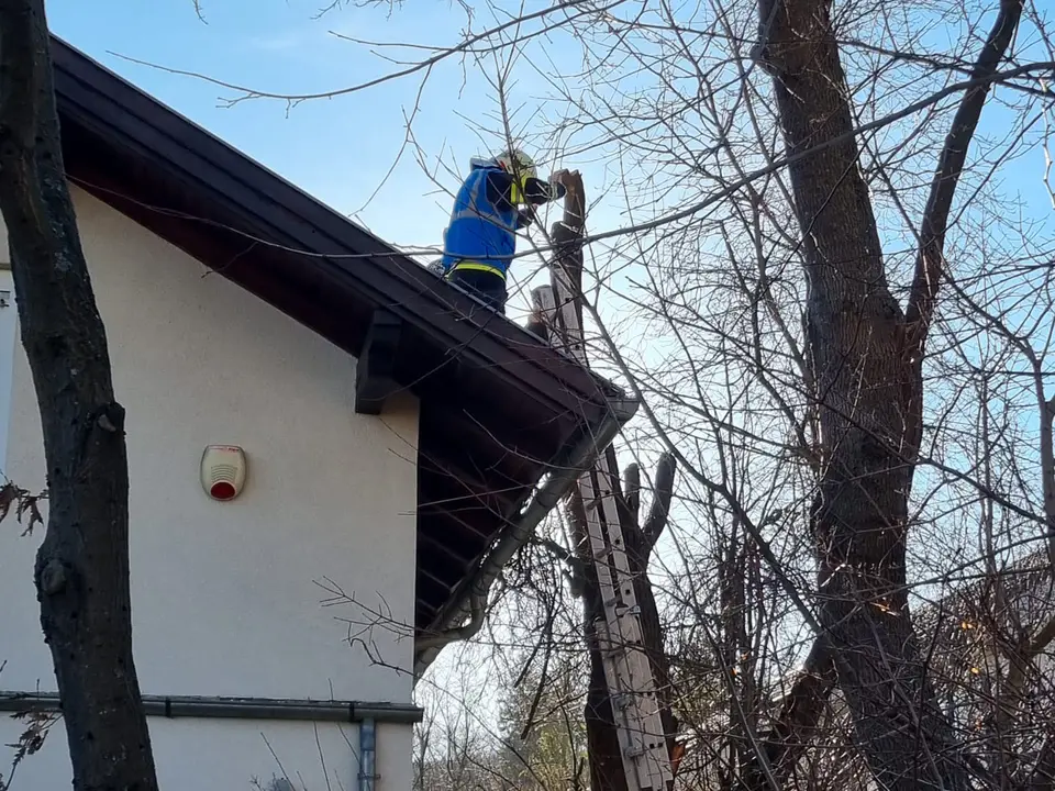 Baum drohte auf Haus zu stürzen – Foto 2 von 2
