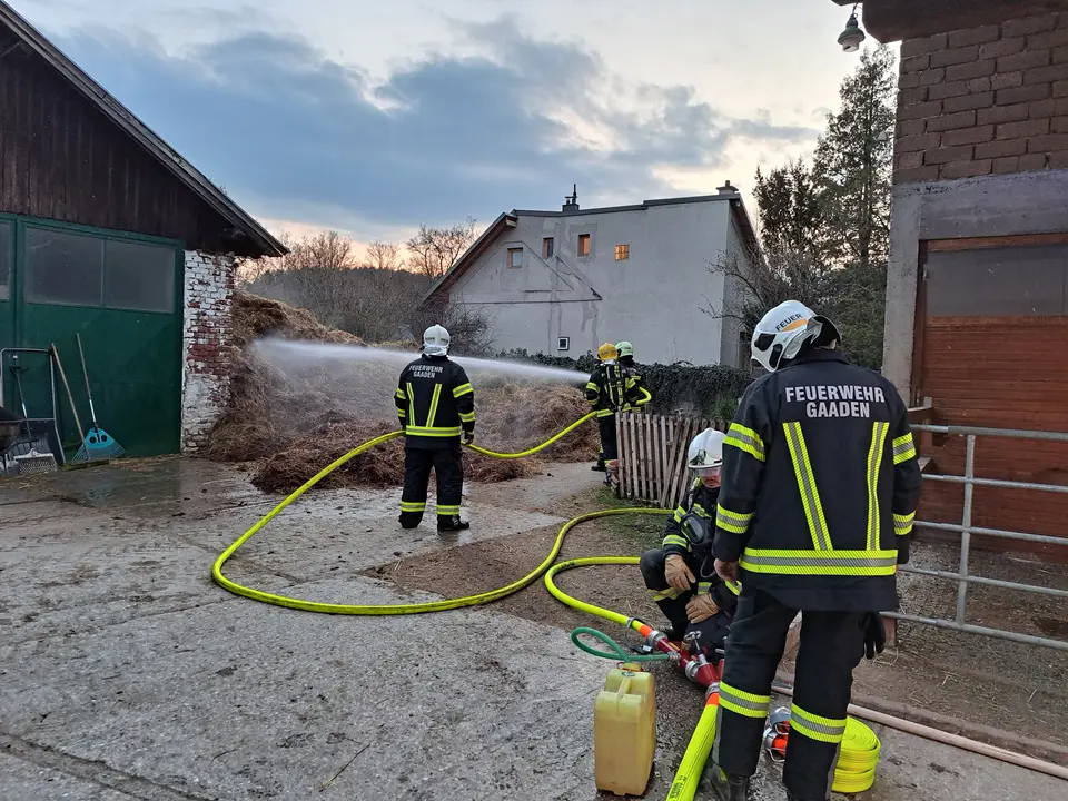 Misthaufenbrand beim Reitstall – Foto 1 von 8