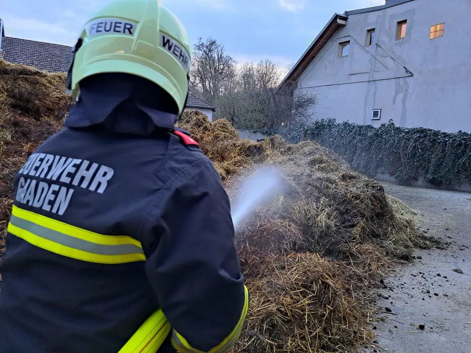 Misthaufenbrand beim Reitstall – Foto 4 von 8