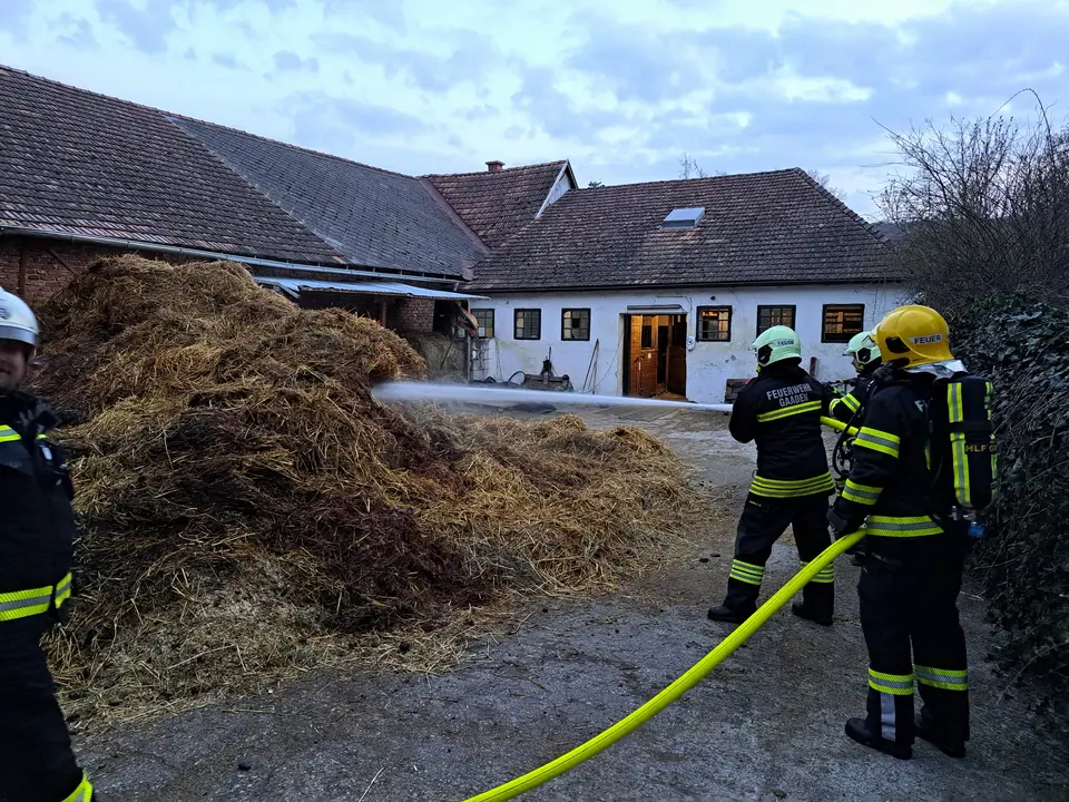 Misthaufenbrand beim Reitstall – Foto 2 von 8