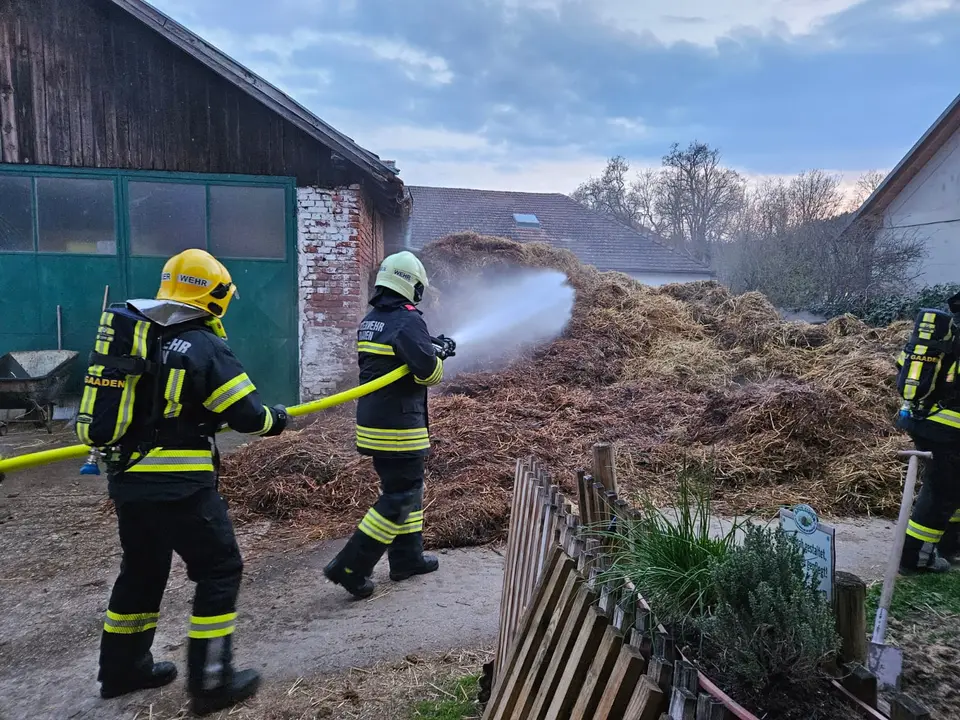 Misthaufenbrand beim Reitstall – Foto 3 von 8