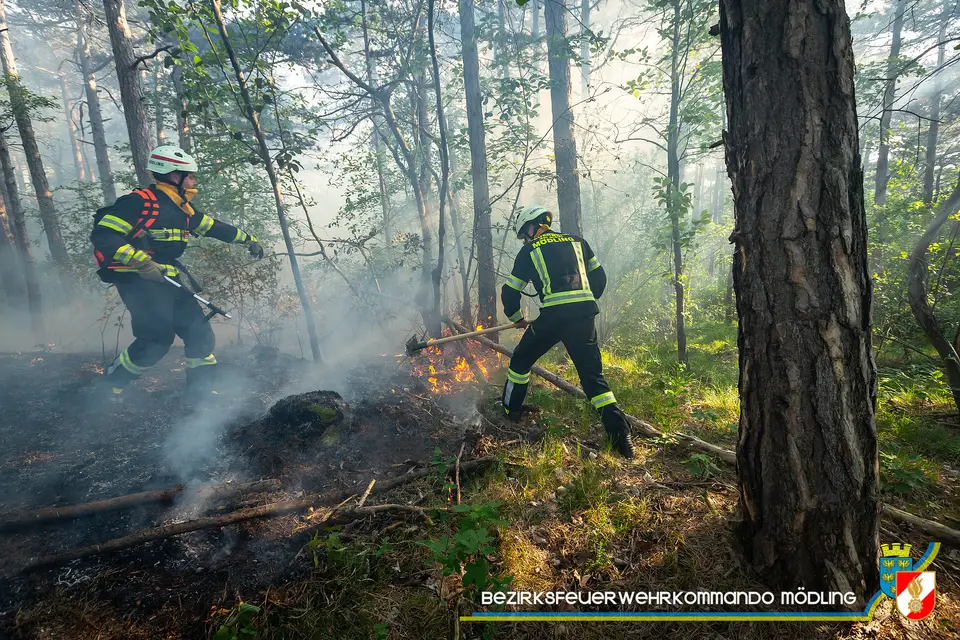 Waldbrand am Anninger – Foto 1 von 12