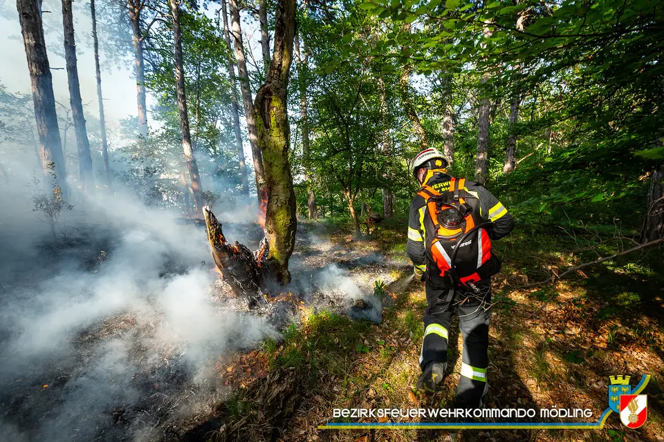 Waldbrand am Anninger – Foto 2 von 12