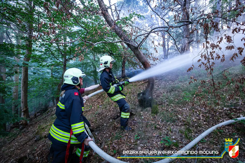 Waldbrand am Anninger – Foto 7 von 12