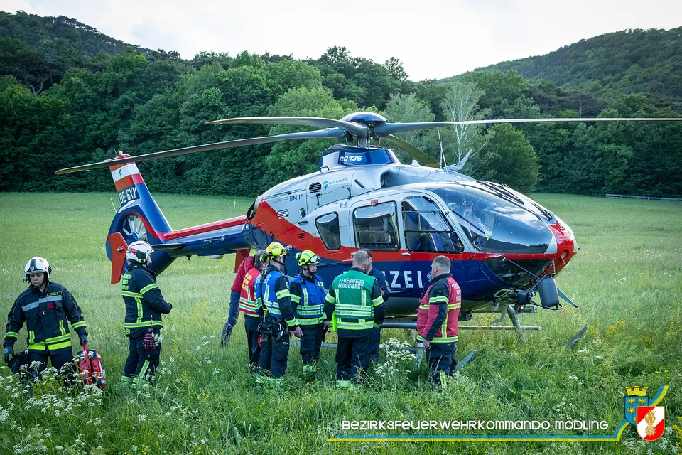 Waldbrand am Anninger – Foto 10 von 12