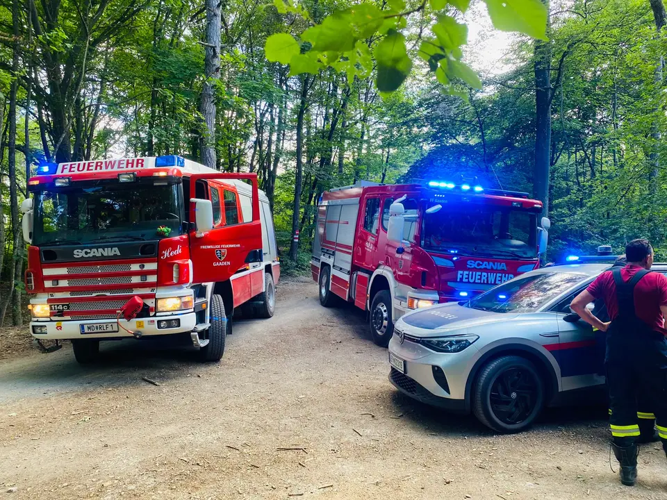 Waldbrand am Anninger – Foto 9 von 12