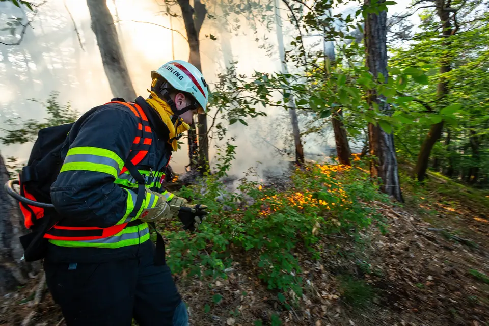 Waldbrand am Anninger – Foto 4 von 12