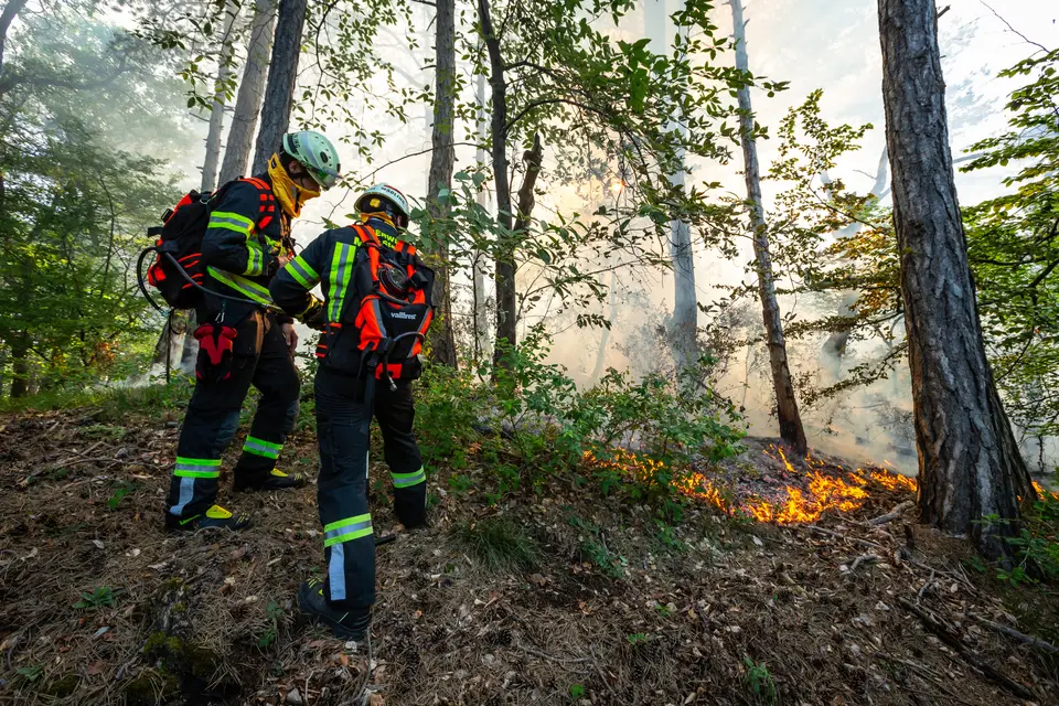 Waldbrand am Anninger – Foto 5 von 12
