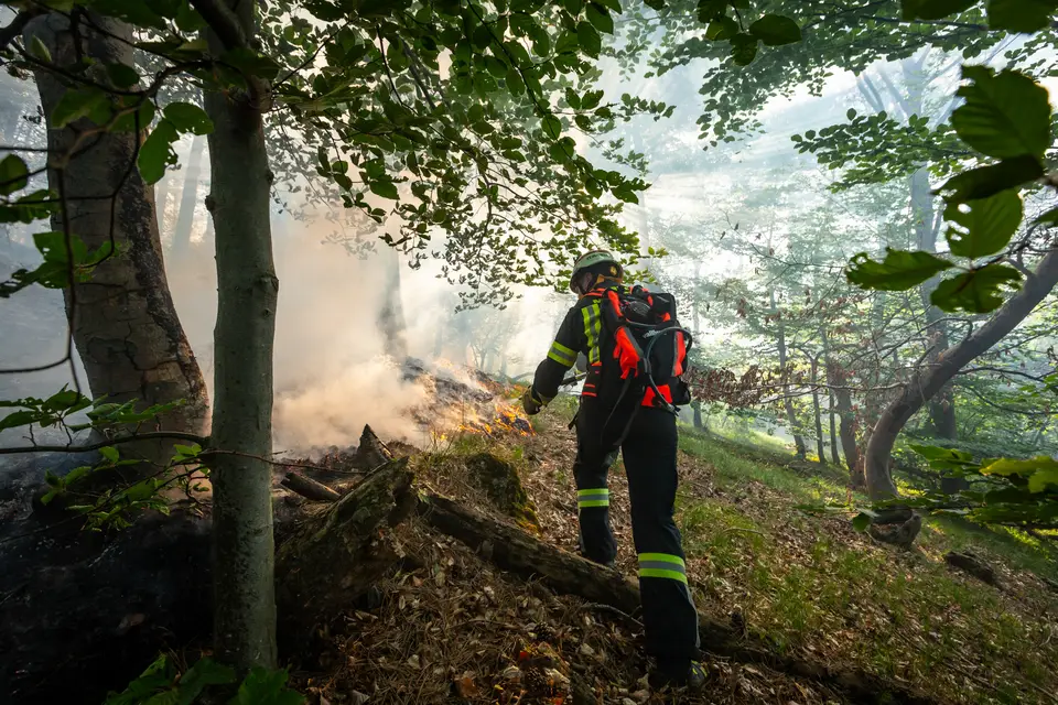 Waldbrand am Anninger – Foto 6 von 12