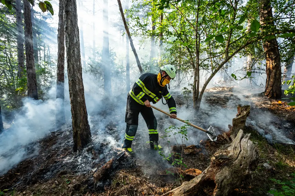 Waldbrand am Anninger – Foto 3 von 12