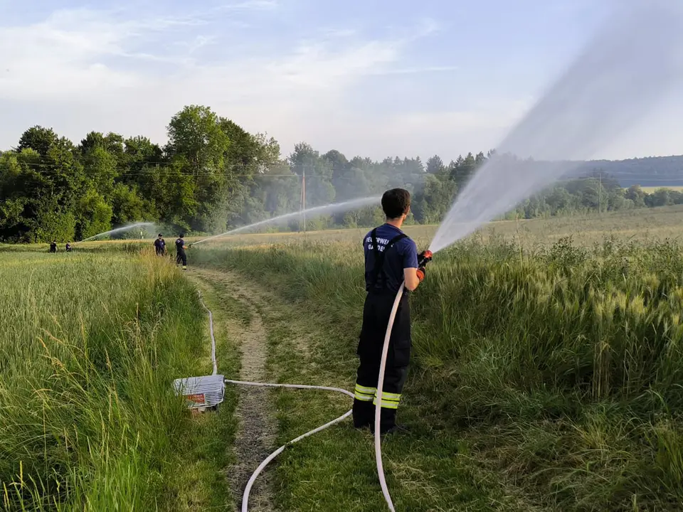 Übung Waldbrandausrüstung – Foto 3 von 7
