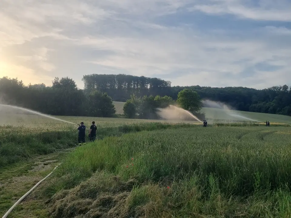 Übung Waldbrandausrüstung – Foto 5 von 7