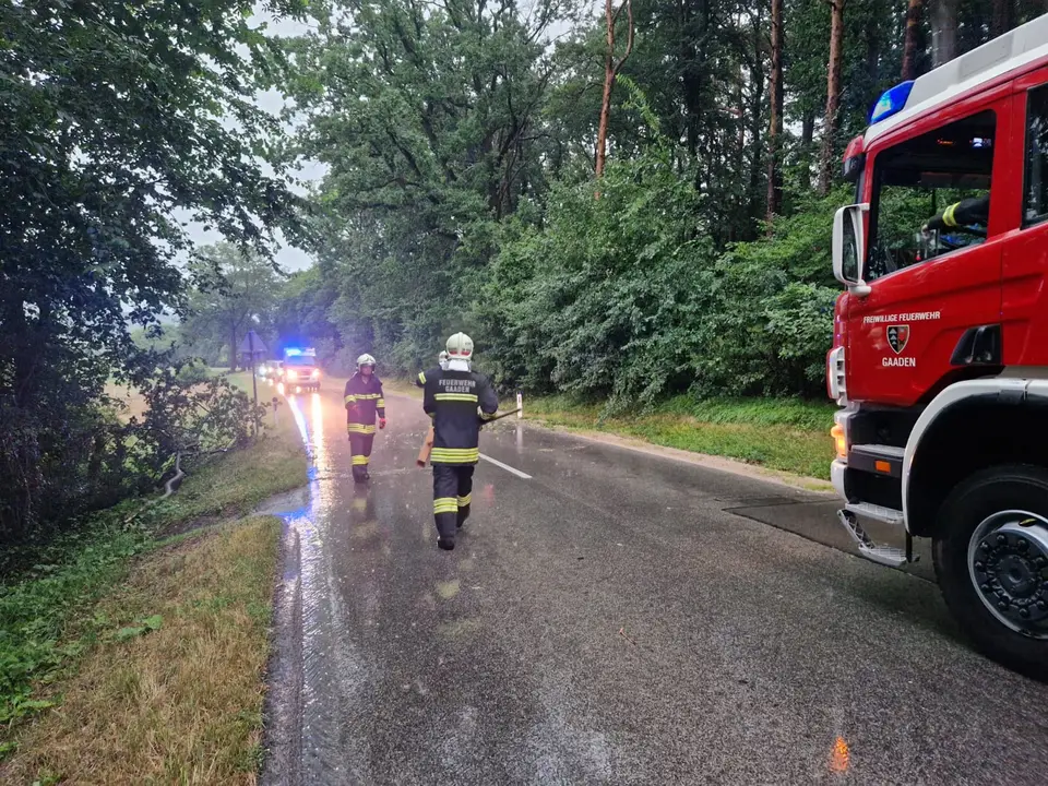 Ast auf Fahrbahn – Foto 2 von 2