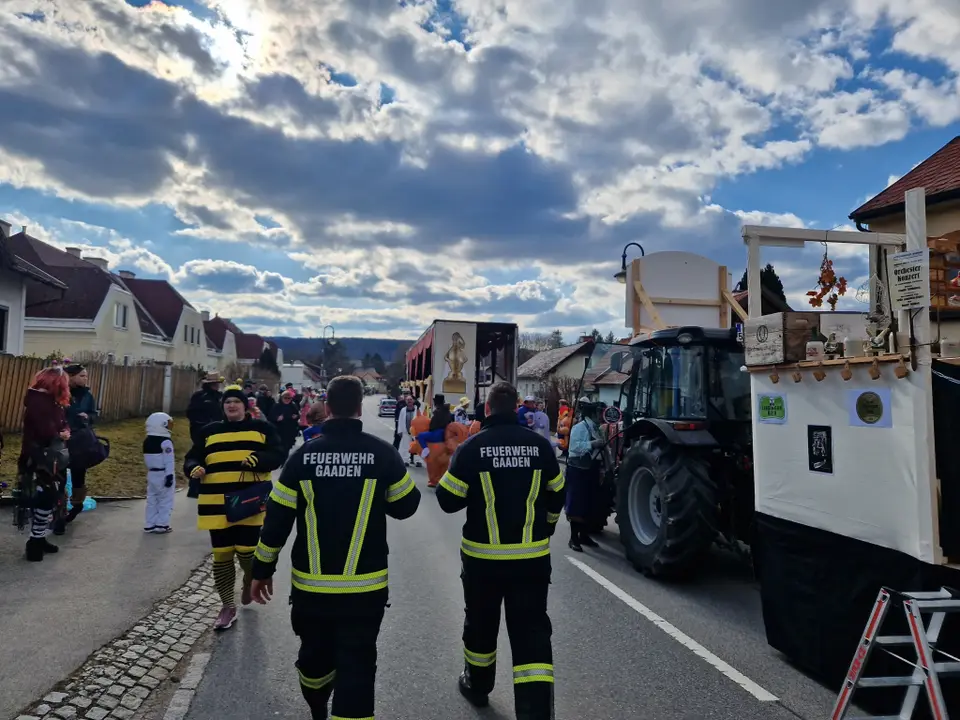 Faschingsumzug – Foto 3 von 5