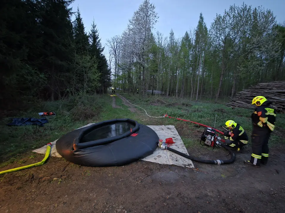 Übung Waldbrandbekämpfung – Foto 1 von 3