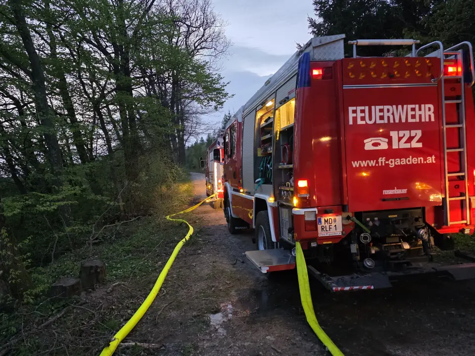 Übung Waldbrandbekämpfung – Foto 2 von 3