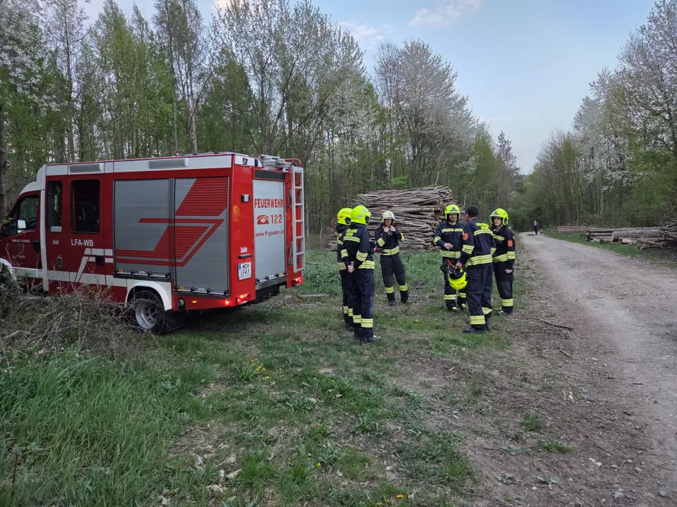 Übung Waldbrandbekämpfung – Foto 3 von 3