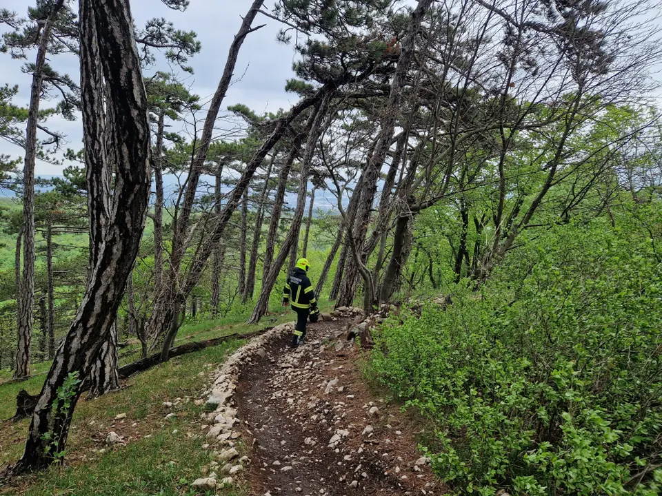 Mountainbiker am Anniger gestürzt – Foto 1 von 1