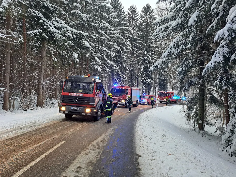 PKW kollidierte mit Baum – Foto 3 von 5