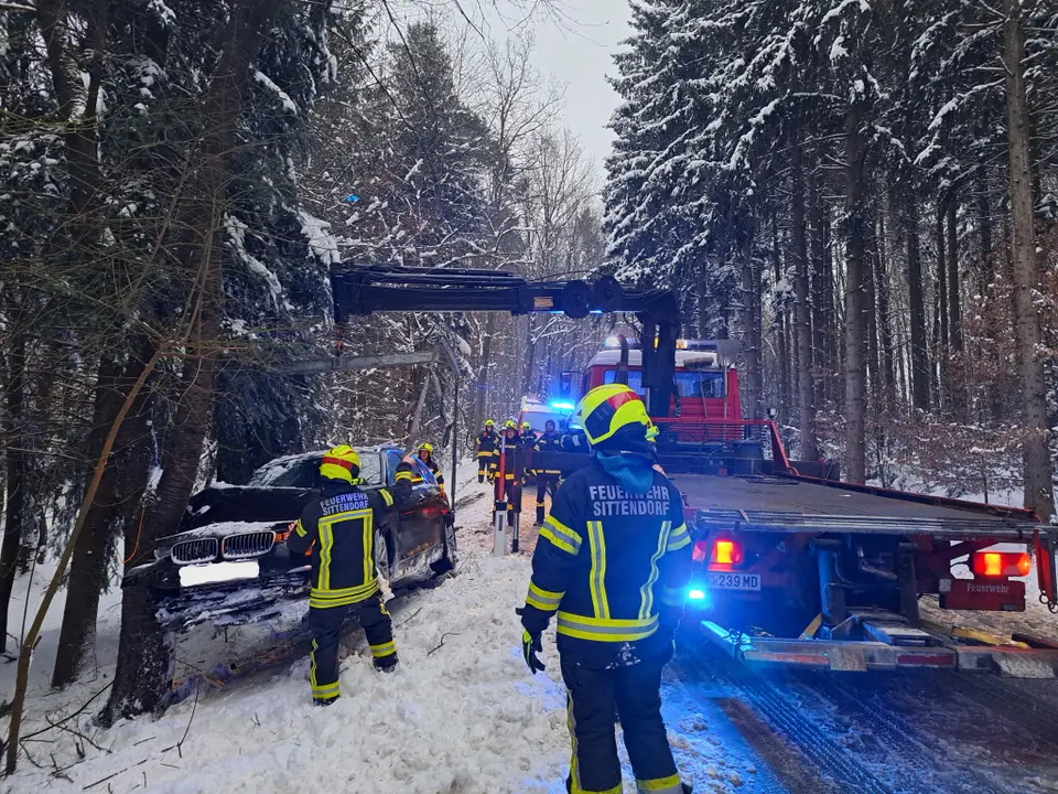 PKW kollidierte mit Baum – Foto 4 von 5