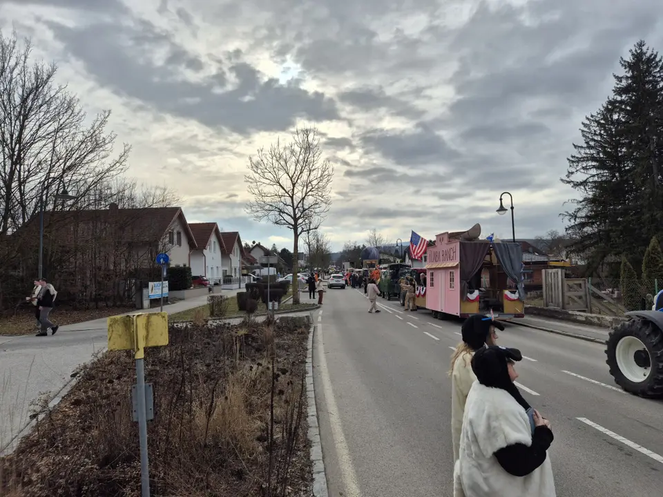 Faschingsumzug – Foto 1 von 3