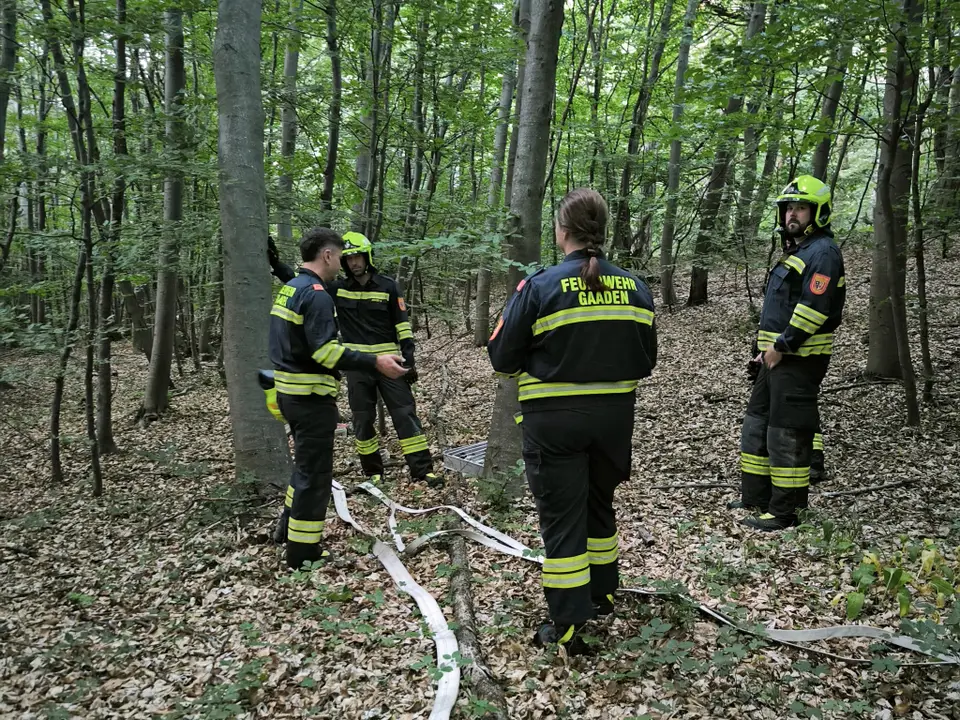 Übung Waldbrand – Foto 4 von 4