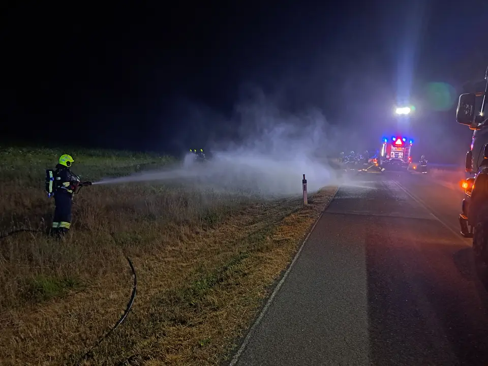Vegetationsbrand in der Sittendorfer Straße – Foto 2 von 7