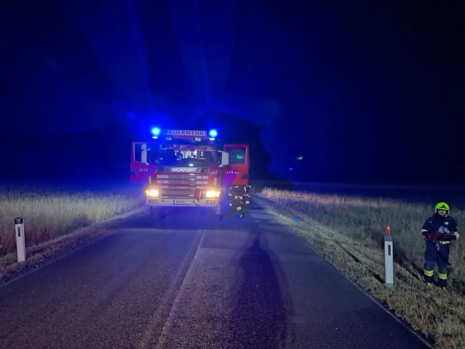 Vegetationsbrand in der Sittendorfer Straße – Foto 5 von 7