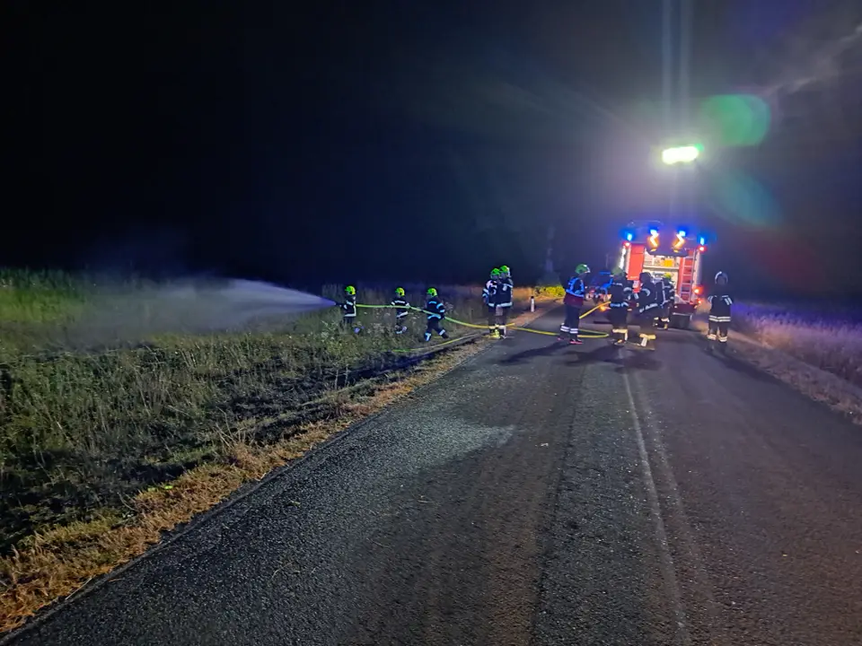 Vegetationsbrand in der Sittendorfer Straße – Foto 3 von 7