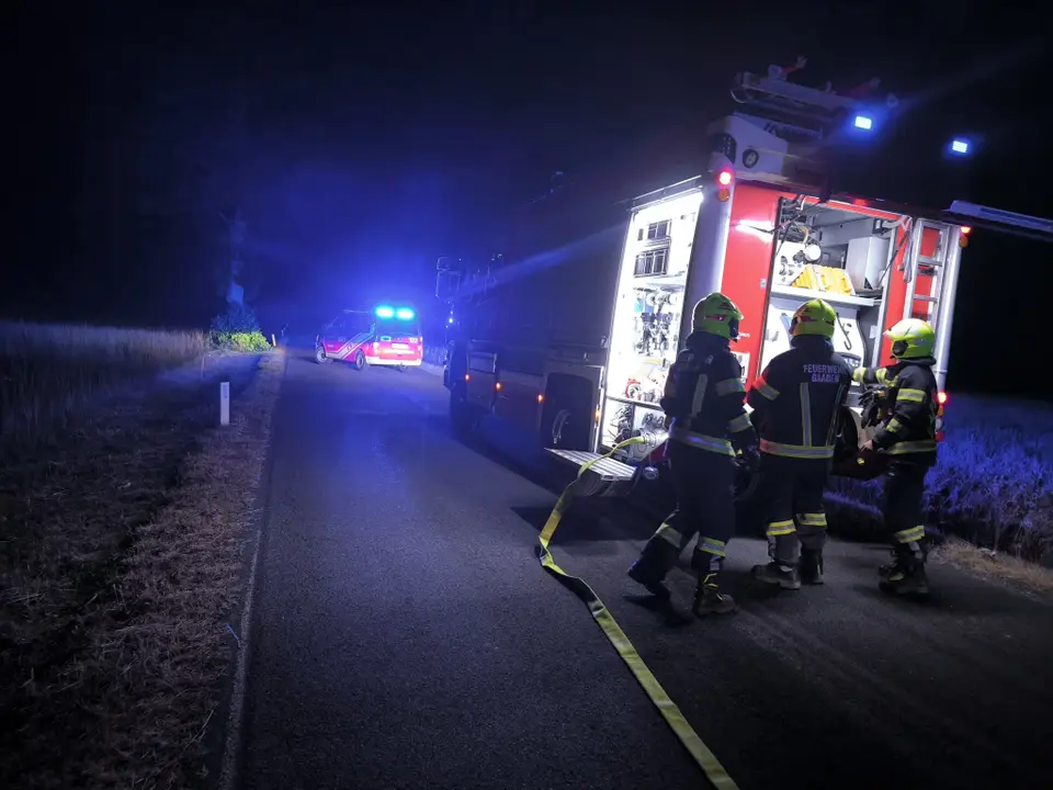 Vegetationsbrand in der Sittendorfer Straße – Foto 6 von 7