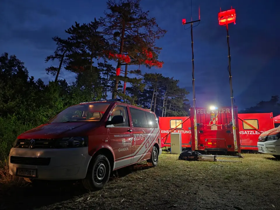 Waldbrand im Föhrenwald – Foto 4 von 8