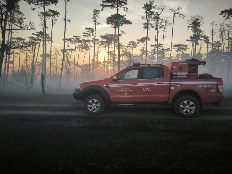 Waldbrand im Föhrenwald – Foto 1 von 8