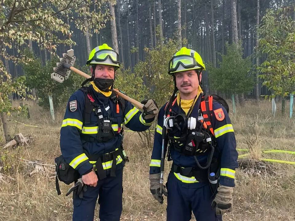 Waldbrand im Föhrenwald – Foto 2 von 8