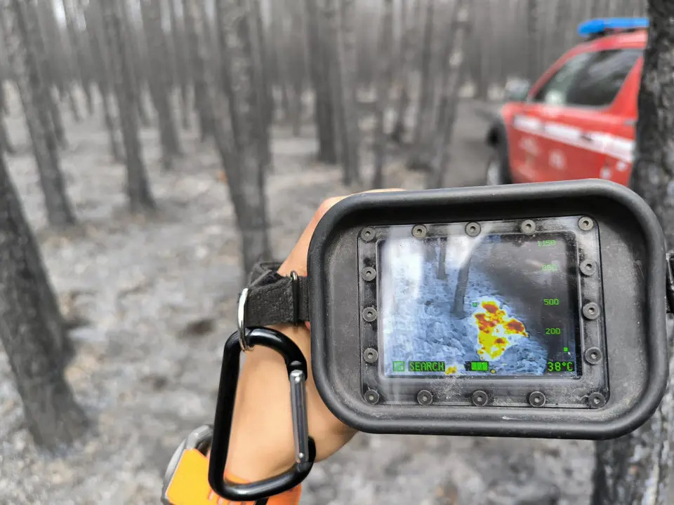 Waldbrand im Föhrenwald – Foto 3 von 8