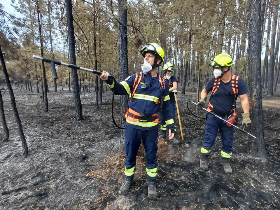 Waldbrand im Föhrenwald – Foto 6 von 8