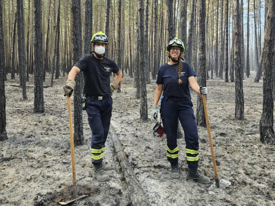Waldbrand im Föhrenwald – Foto 8 von 8